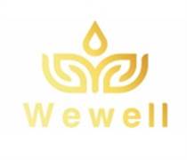 VHE: Báo cáo tài chính năm 2025