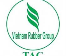 GTA: Thông báo ngày ĐKCC thực hiện quyền bỏ phiếu