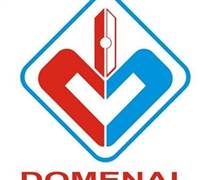 DMN: Báo cáo tài chính năm 2025