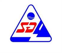 SIG: Báo cáo tài chính năm 2025