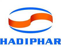 HDP: Báo cáo tài chính năm 2025