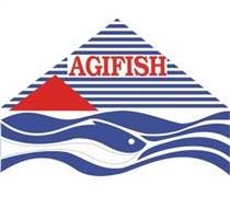 AGF: Báo cáo tài chính năm 2025