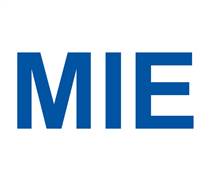 MIE: Báo cáo tài chính năm 2025