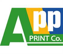 INN: Báo cáo tài chính năm 2025