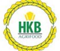 HKB: Báo cáo tài chính năm 2025