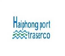 DVC: Báo cáo tài chính năm 2025