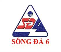 SD6: Báo cáo tài chính năm 2025