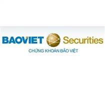 BVS: Báo cáo tài chính năm 2025