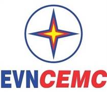 CJC: Báo cáo tài chính năm 2025