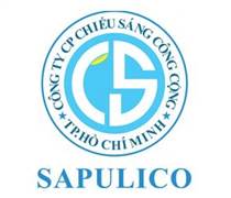 CHS: Báo cáo tài chính năm 2025