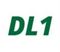 DL1: Báo cáo tài chính năm 2025