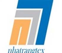 NTT: Báo cáo tài chính năm 2025