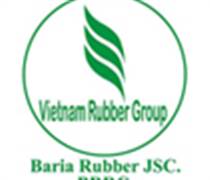 BRR: Báo cáo thường niên 2025