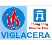 TLT: Công bố thông tin về việc Công ty đang làm thủ tục giải thể