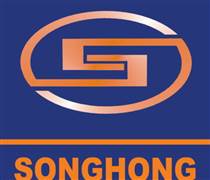 SHG: Báo cáo tài chính năm 2025 (Công ty mẹ)