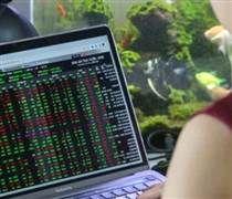 Dòng tiền dồn vào “họ Vin” và thép, VNINDEX tăng gần 200 điểm từ đáy cuối tháng 3