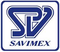 SAV: Báo cáo thường niên năm 2025