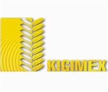 KGM: Báo cáo tài chính quý 1/2026