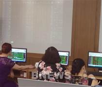 Agriseco và SSI khuyến nghị mua DCM, GMD và PAN: Dư địa tăng trưởng còn lớn?