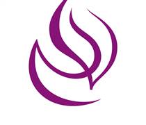 VNG: Báo cáo thường niên năm 2025