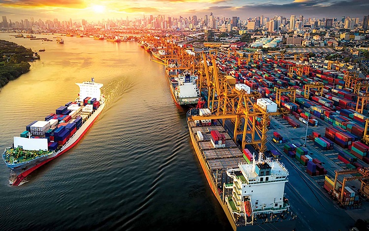 Giá cước châu Á – Mỹ tiếp tục giảm mạnh trong 2025