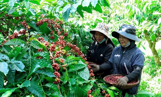 AI NEWS - Nền tảng tin tức chứng khoán