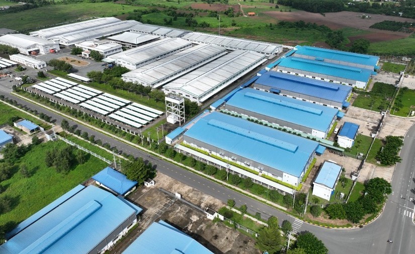 AI NEWS - Nền tảng tin tức chứng khoán