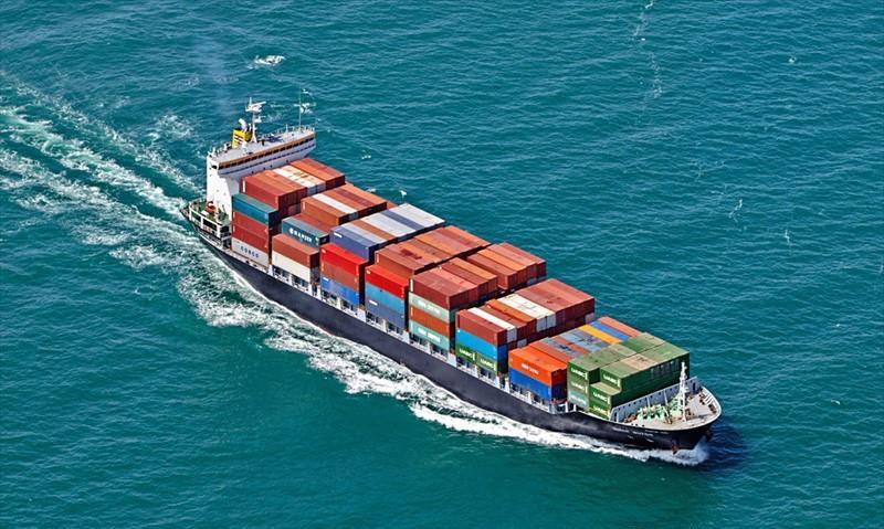 VẬN CHUYỂN THÚ CƯNG SANG CHÂU ÂU BẰNG ĐƯỜNG BIỂN: QUY TRÌNH, QUY ĐỊNH VÀ NHỮNG ĐIỀU CẦN BIẾT VẬN CHUYỂN THÚ CƯNG SANG CHÂU ÂU BẰNG ĐƯỜNG BIỂN: QUY TRÌNH, QUY ĐỊNH VÀ NHỮNG ĐIỀU CẦN BIẾT