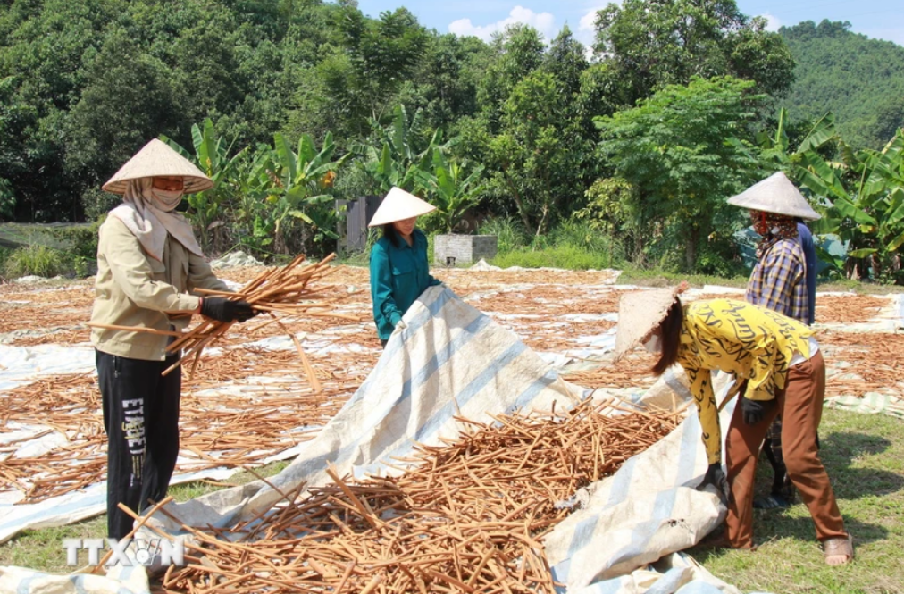 AI NEWS - Nền tảng tin tức chứng khoán