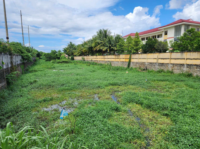 Lối thoát nước như ruộng rau, người dân nói: TP Quảng Ngãi không ngập ...