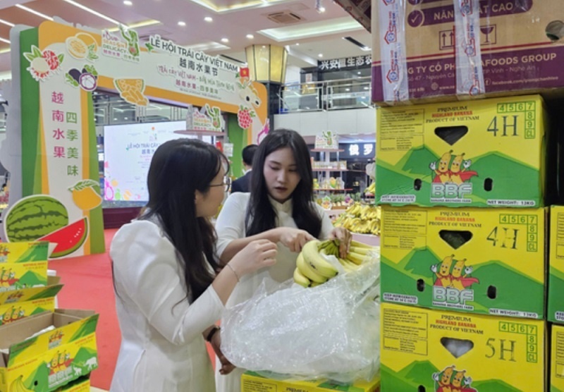 AI NEWS - Nền tảng tin tức chứng khoán