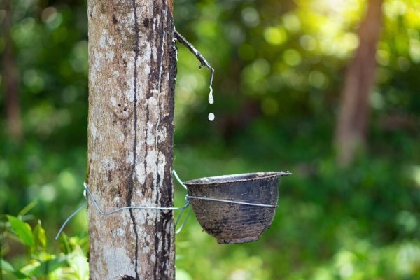 AI NEWS - Nền tảng tin tức chứng khoán