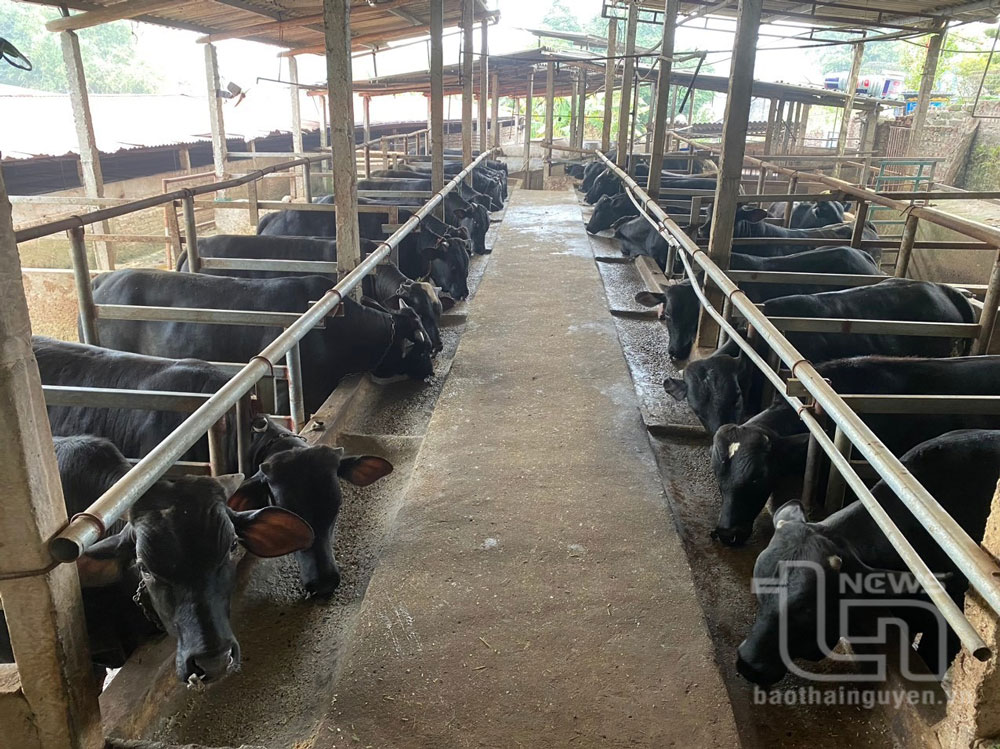 AI NEWS - Nền tảng tin tức chứng khoán