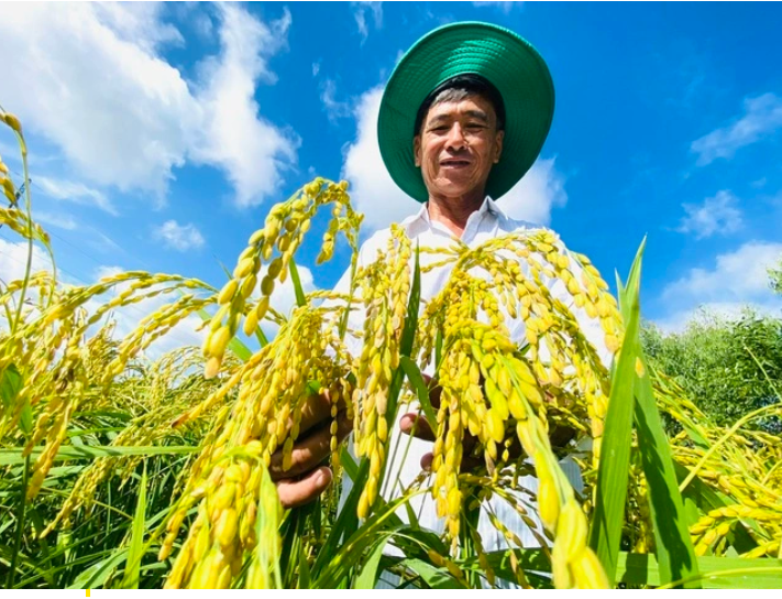 AI NEWS - Nền tảng tin tức chứng khoán