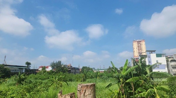 AI NEWS - Nền tảng tin tức chứng khoán
