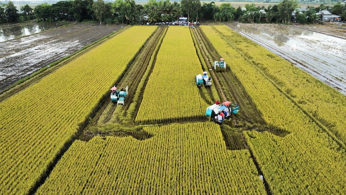 AI NEWS - Nền tảng tin tức chứng khoán