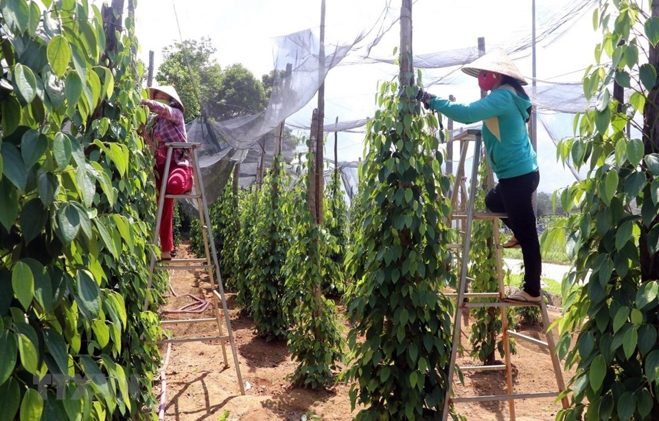 AI NEWS - Nền tảng tin tức chứng khoán