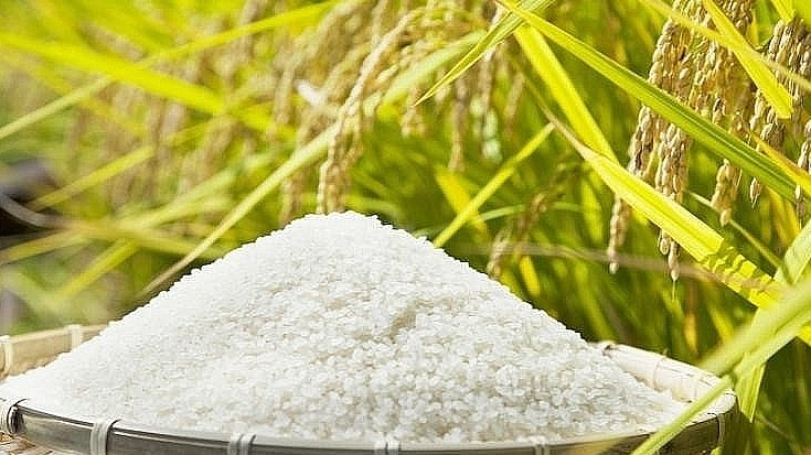 AI NEWS - Nền tảng tin tức chứng khoán