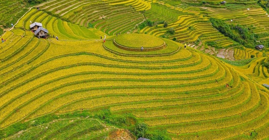 AI NEWS - Nền tảng tin tức chứng khoán