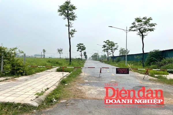 AI NEWS - Nền tảng tin tức chứng khoán