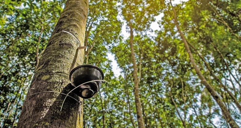 AI NEWS - Nền tảng tin tức chứng khoán