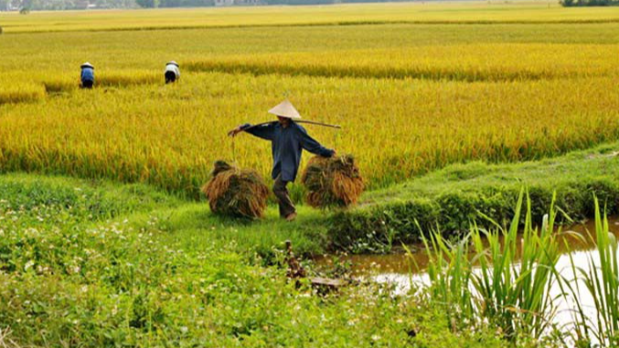 AI NEWS - Nền tảng tin tức chứng khoán