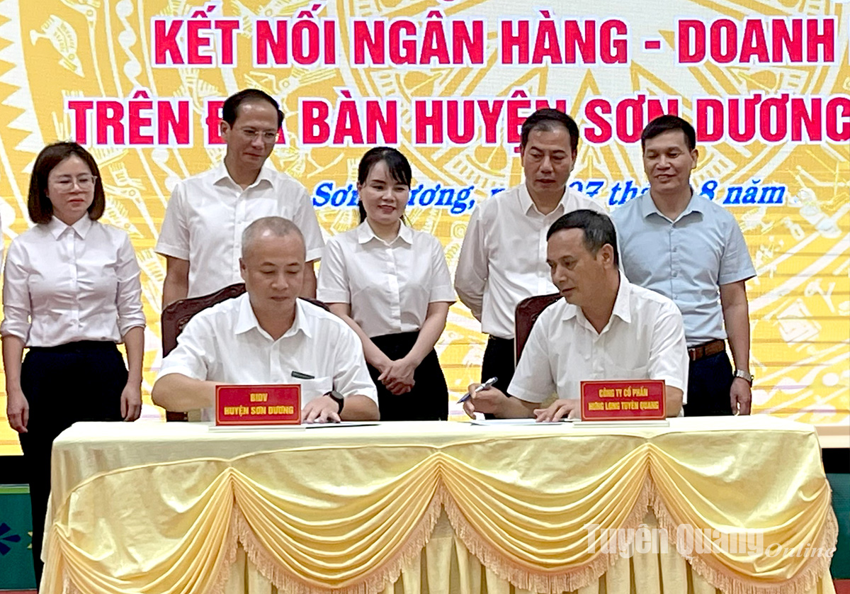 AI NEWS - Nền tảng tin tức chứng khoán