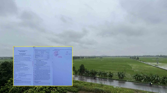 AI NEWS - Nền tảng tin tức chứng khoán