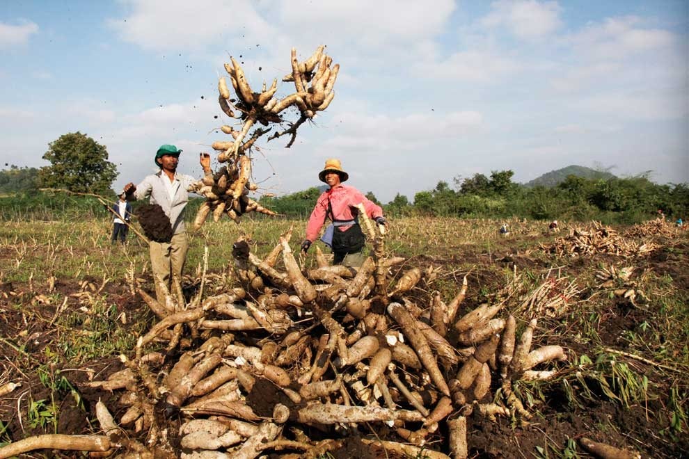 AI NEWS - Nền tảng tin tức chứng khoán