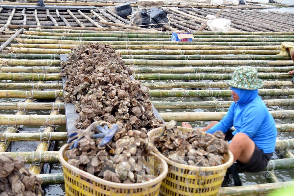 AI NEWS - Nền tảng tin tức chứng khoán