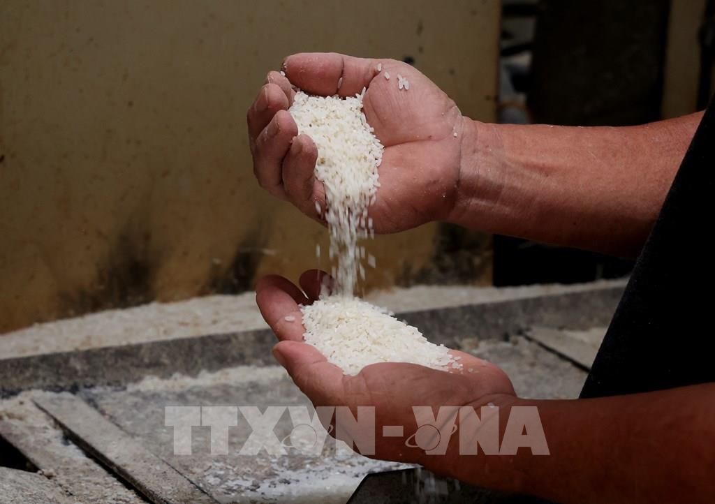 AI NEWS - Nền tảng tin tức chứng khoán