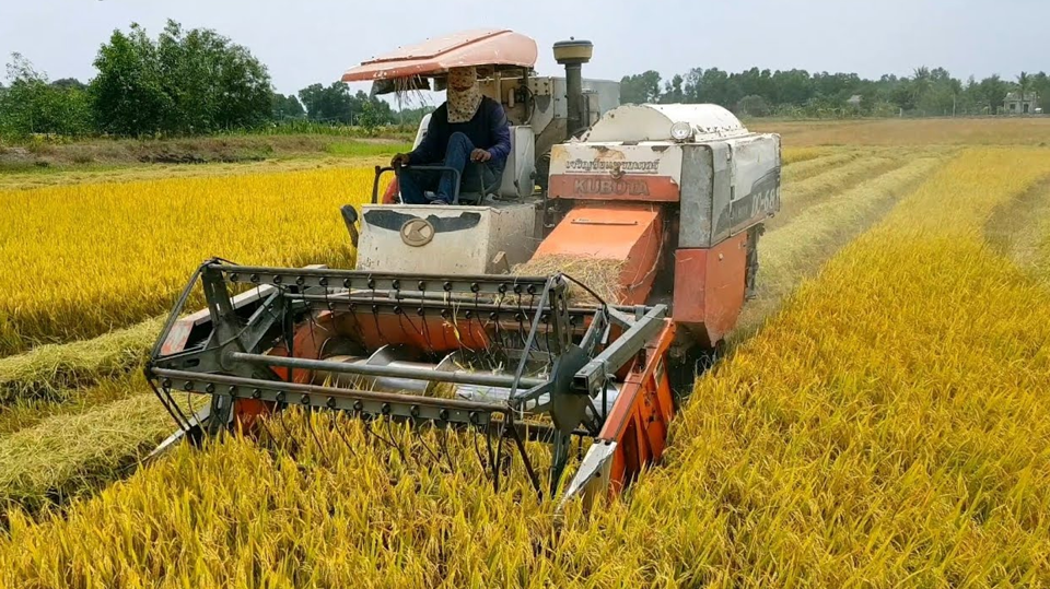 AI NEWS - Nền tảng tin tức chứng khoán