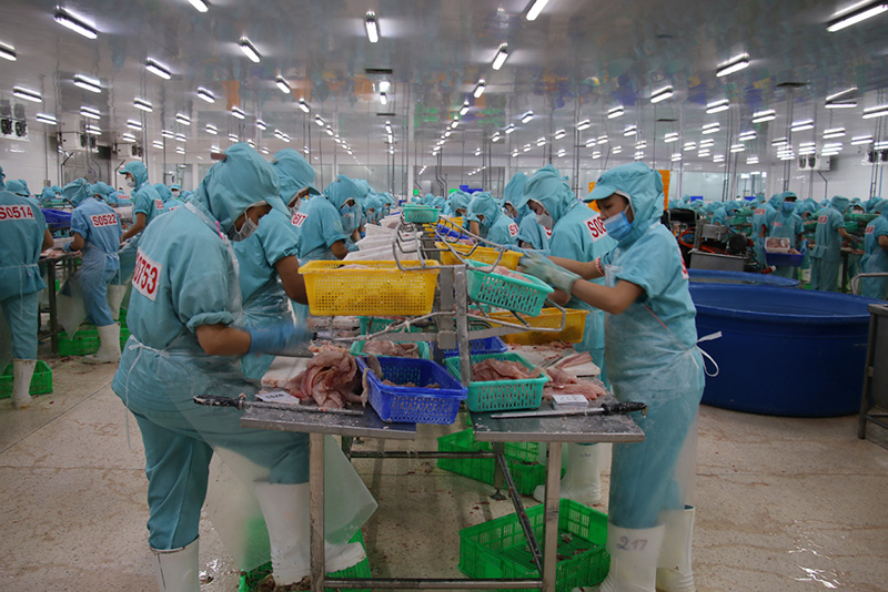 AI NEWS - Nền tảng tin tức chứng khoán