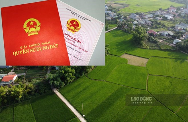 AI NEWS - Nền tảng tin tức chứng khoán